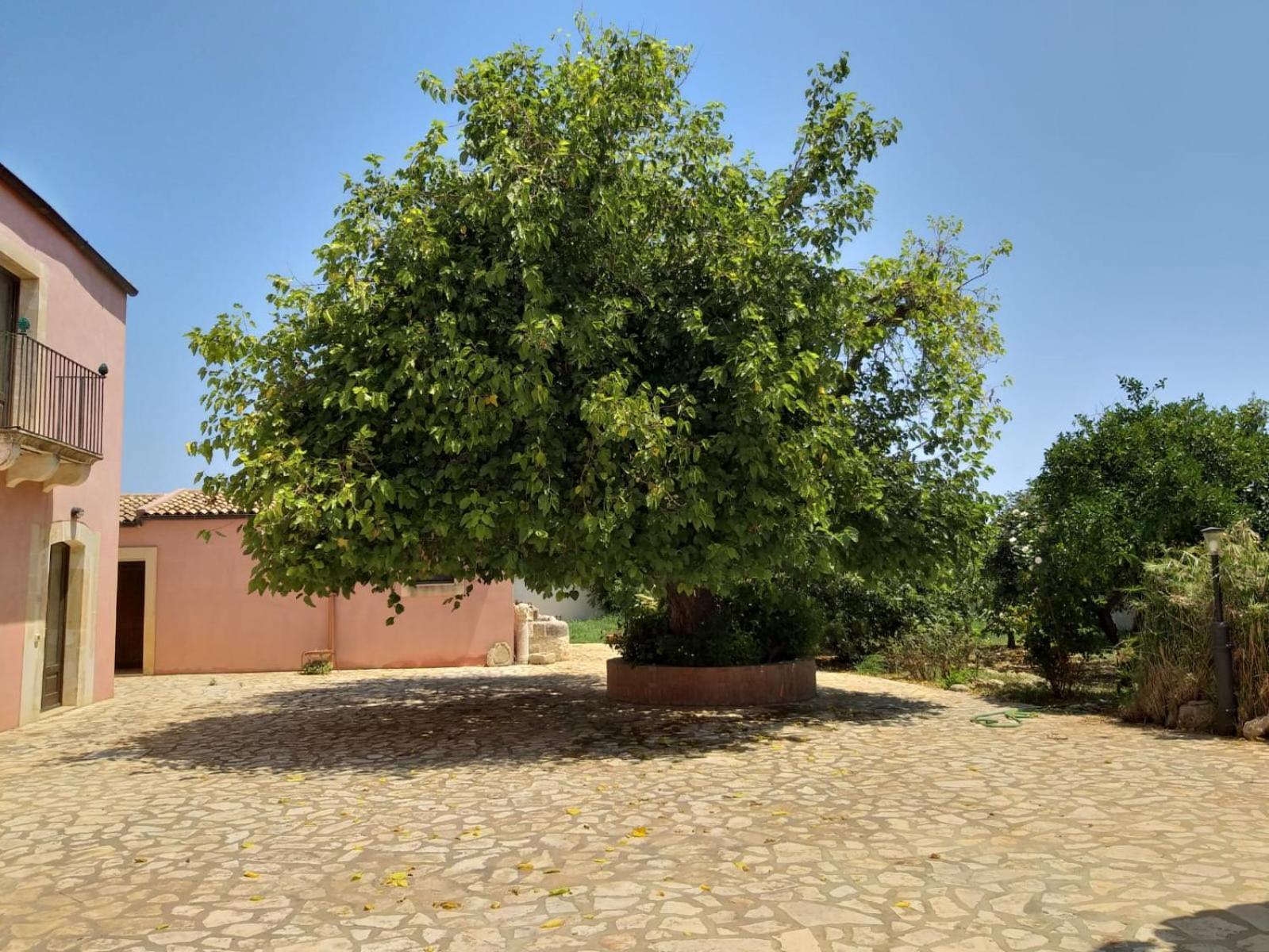 Antica Gebbia *
