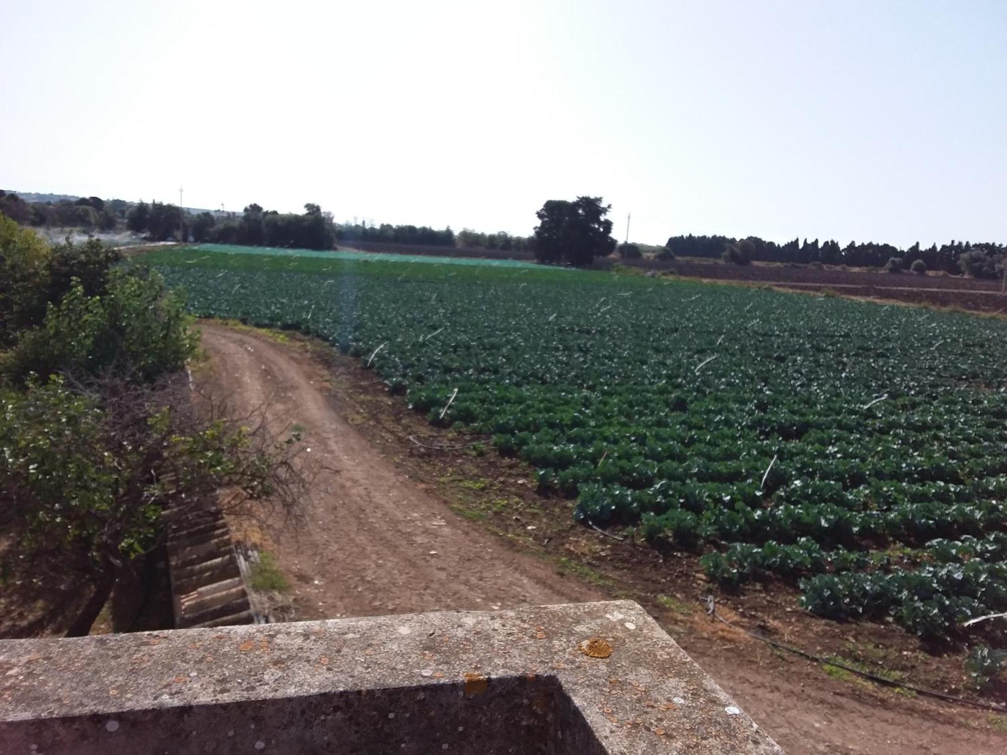 Antica Gebbia